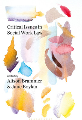 Critical Issues in Social Work Law(English, Paperback, Brammer Alison)