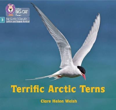 Terrific Arctic Terns(English, Paperback, Welsh Clare Helen)