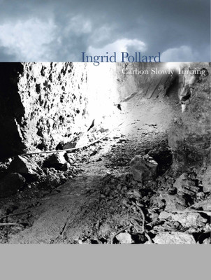 Ingrid Pollard(English, Paperback, unknown)