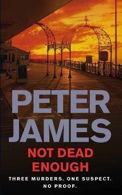 Not Dead Enough(English, Paperback, James Peter)