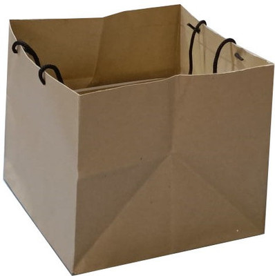 Nips Pvt Ltd Paper Bag Paper 1/2 KG PAPER BAGS WITH HANDLE (PACK OF 10) Packaging Box(Pack of 10 Brown)