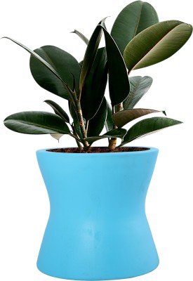 Lasaki Damru Ceramic Pot for Indoor Plants, Living Room Bedroom Office Decor (Aqua) Plant Container Set(Ceramic)