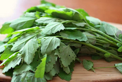 Aywal Bathua Saag(बथुआ साग) Vegetable Seed(450 per packet)