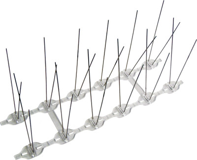 RIDDHI SIDDHI Bird Spike
