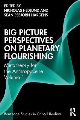 Big Picture Perspectives on Planetary Flourishing(English, Paperback, unknown)