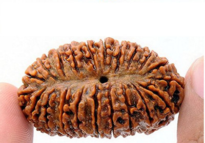 RATAN BAZAAR Beautiful 21 Mukhi Rudraksha Simple For Men Wood