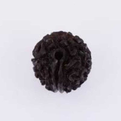 RATAN BAZAAR Natural and Original 1 Mukhi Rudraksha For Men Wood