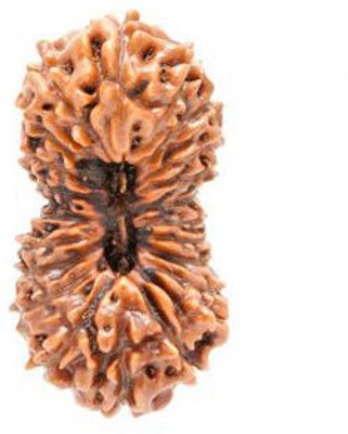 RATAN BAZAAR 21 Mukhi Rudraksha, Natural for Men Wood