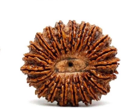 RATAN BAZAAR Natural & Certified 21 Mukhi Rudraksha for Men Wood