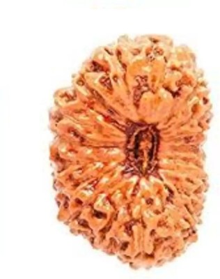 RATAN BAZAAR Original 18 Mukhi Rudraksha Beautiful For Men Wood