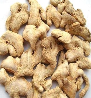 bn polymer Dry ginger Seed(150 per packet)