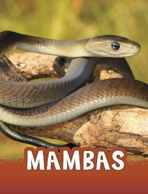 Mambas(English, Paperback, Jaycox Jaclyn)