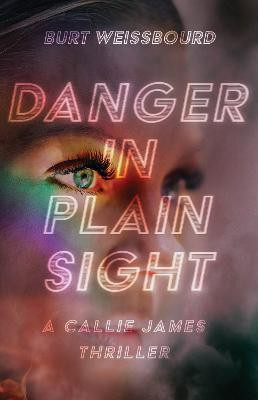 Danger in Plain Sight(English, Paperback, Weissbourd Burt)