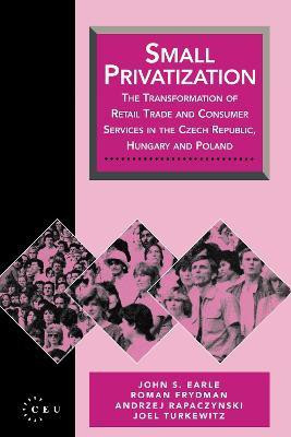 Small Privatization(English, Electronic book text, Frydman Roman)