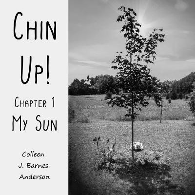 Chin Up!(English, Paperback, Anderson Colleen J Barnes)
