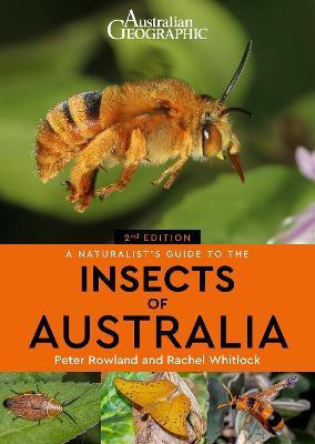 A Naturalist's Guide to the Insects of Australia(English, Paperback, Rowland Peter)