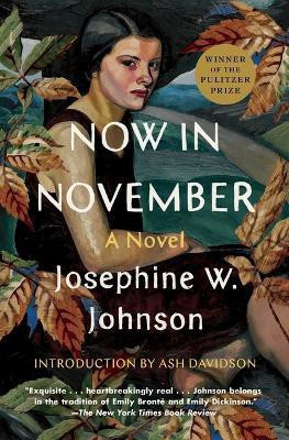 Now in November(English, Paperback, Johnson Josephine)