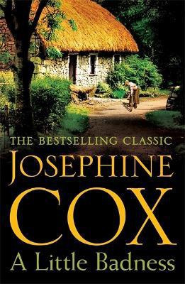 A Little Badness(English, Paperback, Cox Josephine)