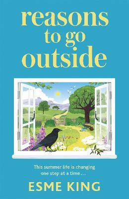 Reasons To Go Outside(English, Hardcover, King Esme)
