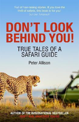 Don't Look Behind You!(English, Paperback, Allison Peter)