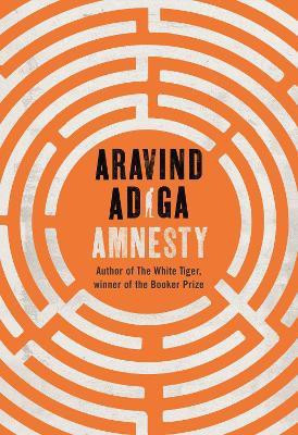 Amnesty(English, Hardcover, Adiga Aravind)