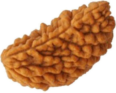 RATAN BAZAAR 1 Mukhi Rudraksha beads Natural and Original Shiv Shakti Beads Astrological Purpose Beads Stone