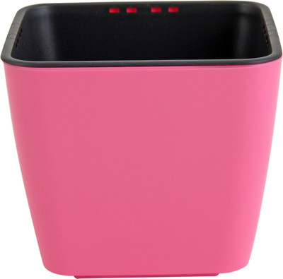 Divine Tree Pink Color Self Watering Planter Pot for Indoor Flowering Plants | Flower Pots for Gardening(10 X 09 cm) Plant Container Set(Plastic)