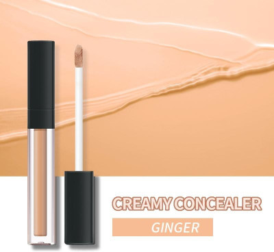 Aylily Professional HD Spotless Liquid  Concealer(IVORY, 6 ml)
