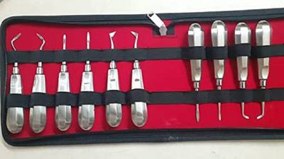 GOLDFINCH Dental Root Elevator Set of 10 Pcs Dental Elevator