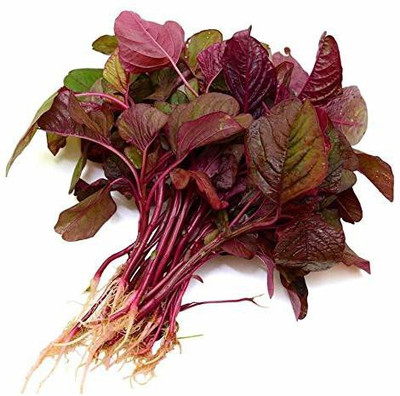 Aywal Cholai Red Saag Seed(340 per packet)