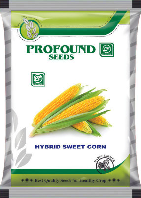 Profound Sweet Corn F1 Hybrid Vegetable Seeds, pack of 50 seeds Seed(50 per packet)