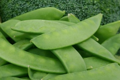 WATIKA Lima Beans Vegetable Garden Seed(500 per packet)