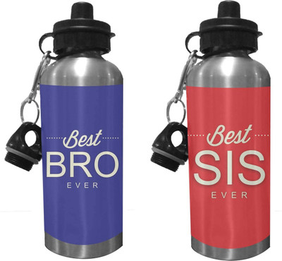 TheYaYaCafe 600 ml Steel Sipper(Pack of 2, Multicolor)
