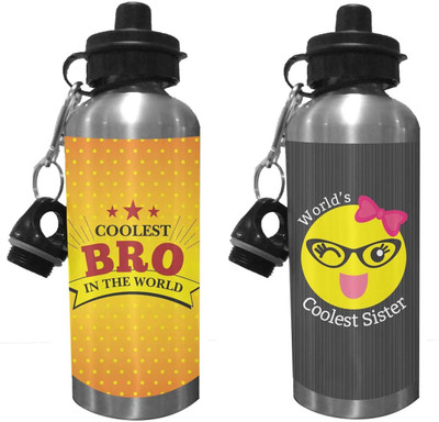 TheYaYaCafe 600 ml Steel Sipper(Pack of 2, Multicolor)