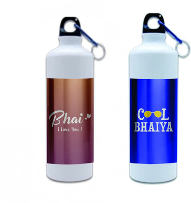 TheYaYaCafe 600 ml Steel Sipper(Pack of 2, Multicolor)