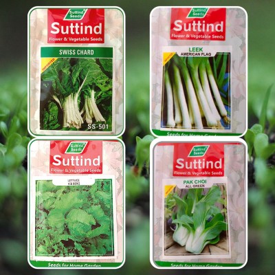 farmgokart Pack Of 4 Exotic Salad Leaves Seed-SWISS CHARD, LEEK, LETTUCE ICEBERG & PAK CHOI Seed(400 per packet)