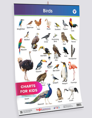 Kids Learning Wall Chart | Birds Chart For Kids | Charts For Children(Poster, Target Publications)