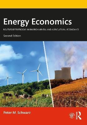 Energy Economics(English, Paperback, Schwarz Peter M.)