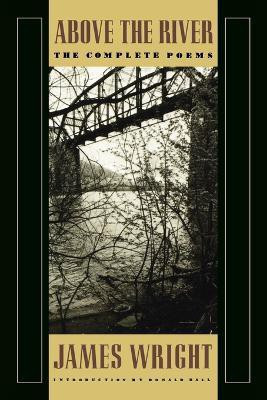 Above the River(English, Paperback, Wright James Professor)