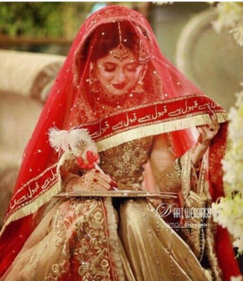 dhenulace Net Embellished Women Dupatta