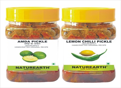 NaturEarth Amada Pickle & Garlic Pickle (400G) Maa Ke Hath Ka Mother Made Homemade Lemon, Green Chilli Pickle(2 x 200 g)