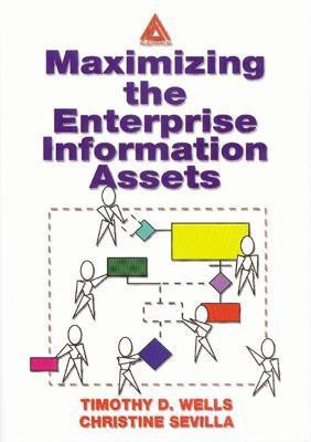 Maximizing The Enterprise Information Assets(English, Paperback, Wells Timothy)