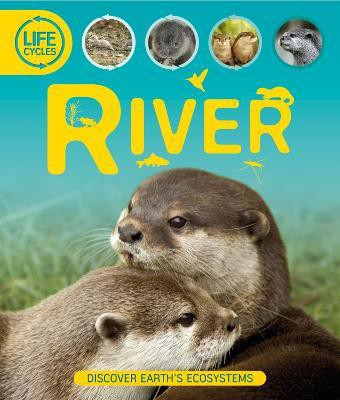 Life Cycles: River  - River(English, Hardcover, Callery Sean)