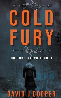 Cold Fury(English, Paperback, Cooper David J)