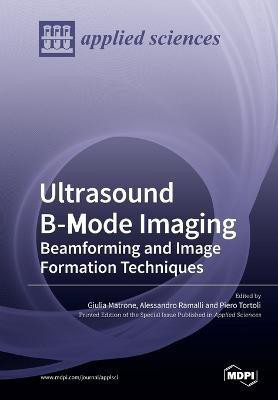 Ultrasound B-Mode Imaging(English, Paperback, unknown)