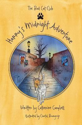 Harry's Midnight Adventure(English, Paperback, Campbell Catherine)