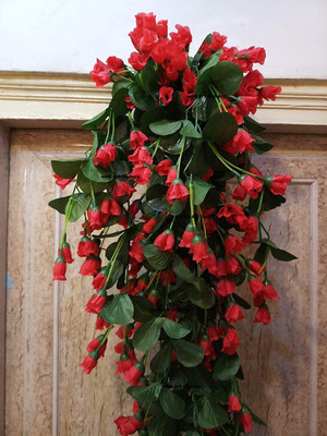 well art gallery Kali Falling Rose Flower Hanging Flower Decor Artificial for Wall (Set of 1,Red) Red Orchids Artificial Flower(30 cm, Pack of 1, Flower Bunch)