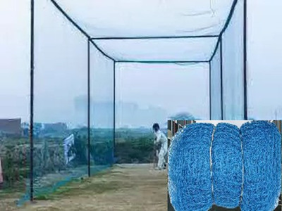 VSsport Sports Nets Cricket Practice Net Sports Blue Colour (40*10 Feet) Cricket Net(Green)
