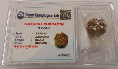 Divine Rudra and Astro Vastu 4 Mukhi Rudraksha Wood