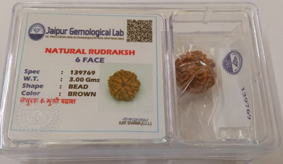 Divine Rudra and Astro Vastu 6 Mukhi Rudraksha Wood